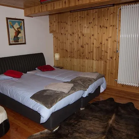 Villa Chalet Judith